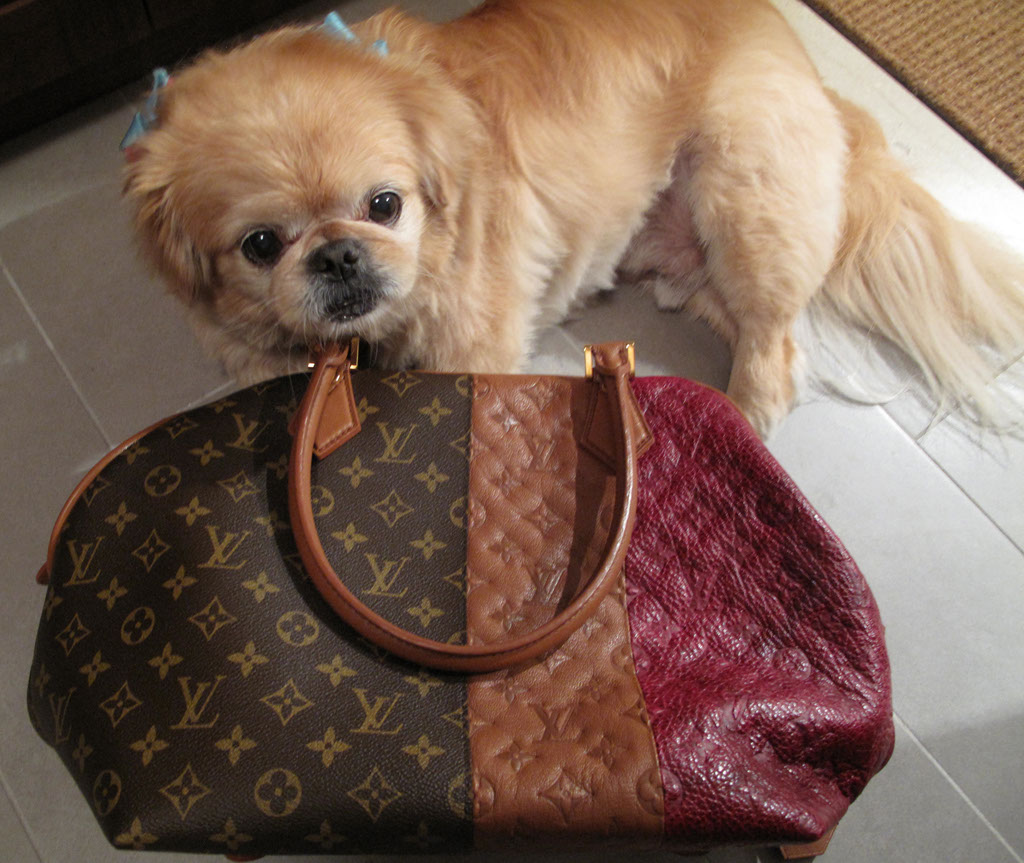A must get @louisvuitton item for dog lovers!! This is definitely